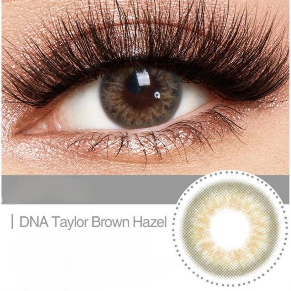DNA Taylor Brown Hazel (Yearly) - Image 5