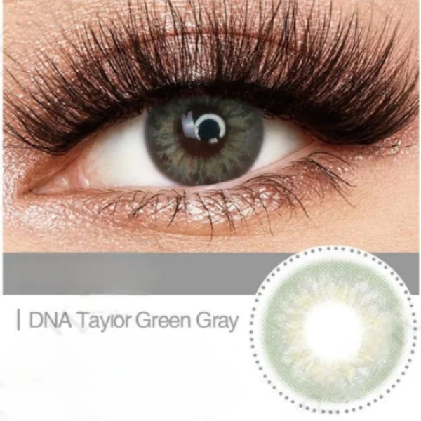 DNA Taylor Green Gray - Image 3