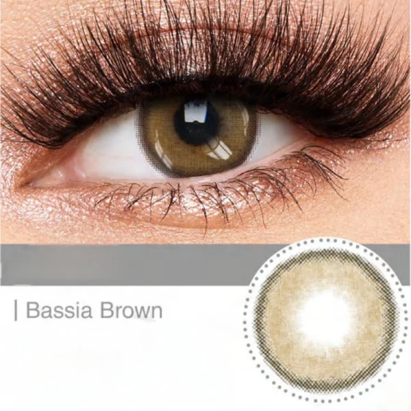 Bassia Brown Eye Contacts - Image 2